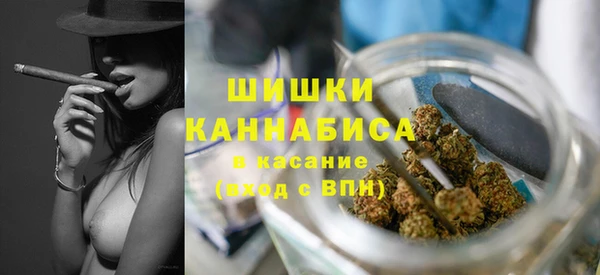 PSILOCYBIN Бородино