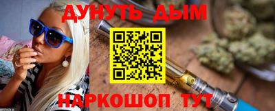 дмт Гатчина