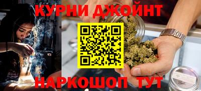 дмт Гатчина