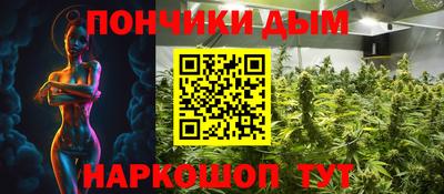 дмт Гатчина
