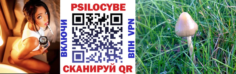 Галлюциногенные грибы Psilocybe  Сатка 