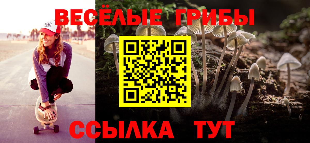 Псилоцибиновые грибы Psilocybe Сатка
