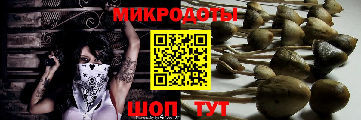 Сатка  где продают   Вход с VPN  Галлюциногенные грибы MAGIC MUSHROOMS 