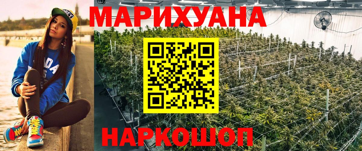 Бошки Шишки семена  Сатка  Конопля семена  Бошки марихуана OG Kush 